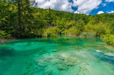 Hırvatistan 'daki Plitvice Gölleri Ulusal Parkı' ndaki yaz gökyüzü suya yansıdı