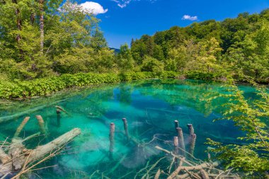 Hırvatistan 'daki Plitvice Gölleri Ulusal Parkı' ndaki yaz gökyüzü suya yansıdı