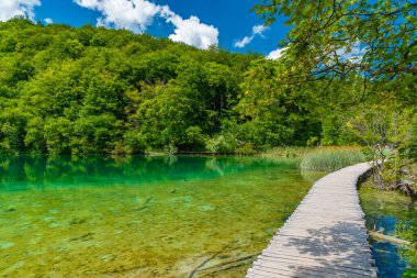 Hırvatistan 'daki Plitvice Gölleri' nden geçen tahta kaldırım milli parkı aydınlatıyor