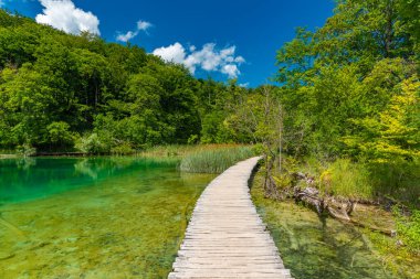Havadan görünümü Hırvatistan Plitvice Gölleri Milli Parkı