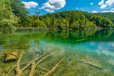 Hırvatistan 'daki Plitvice Gölleri Ulusal Parkı' ndaki yaz gökyüzü suya yansıdı