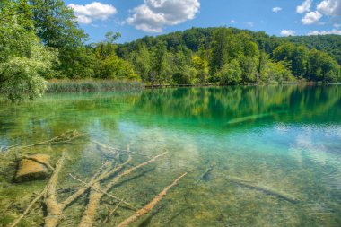 Hırvatistan 'daki Plitvice Gölleri Ulusal Parkı' ndaki yaz gökyüzü suya yansıdı