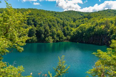 Hırvatistan 'daki Plitvice Gölleri Ulusal Parkı' ndaki yaz gökyüzü suya yansıdı