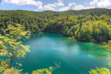 Hırvatistan 'daki Plitvice Gölleri Ulusal Parkı' ndaki yaz gökyüzü suya yansıdı