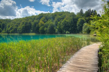Hırvatistan 'daki Plitvice Gölleri' nden geçen tahta kaldırım milli parkı aydınlatıyor