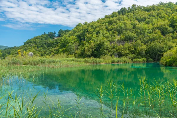 Cielo Estivo Riflesso Sull Acqua Parco Nazionale Dei Laghi Plitvice — Foto Stock
