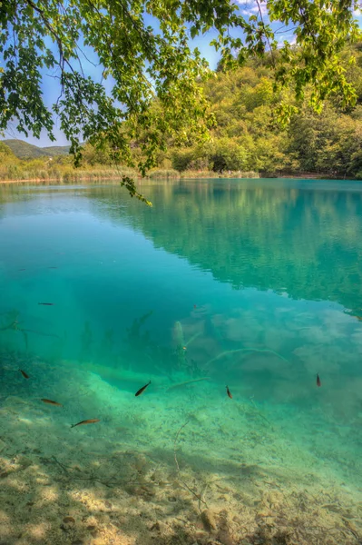 Summer Sky Reflected Water Plitvice Lakes National Park Croatia — ストック写真