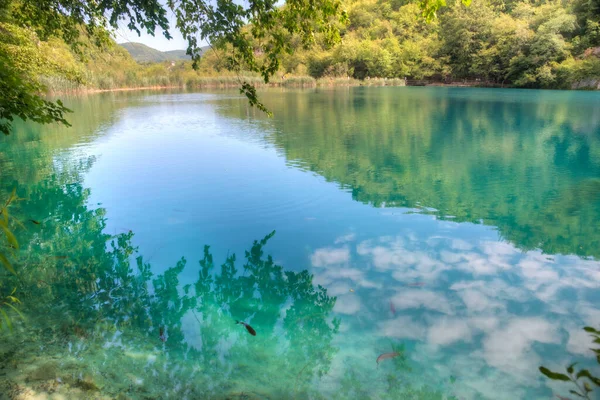 Sommarhimmel Reflekteras Över Vatten Vid Plitvicesjöarnas Nationalpark Kroatien — Stockfoto
