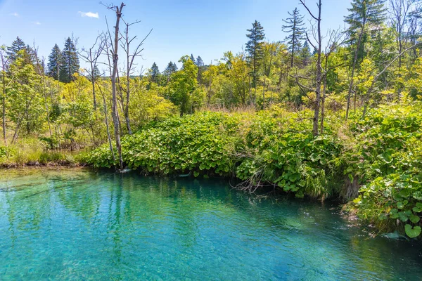 Summer Sky Reflected Water Plitvice Lakes National Park Croatia — Stock Photo, Image