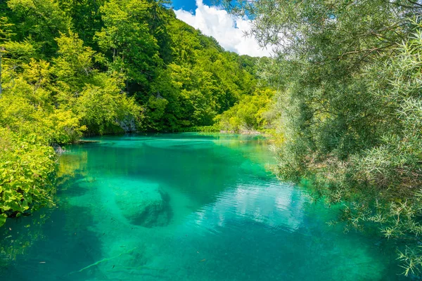 Sommarhimmel Reflekteras Över Vatten Vid Plitvicesjöarnas Nationalpark Kroatien — Stockfoto