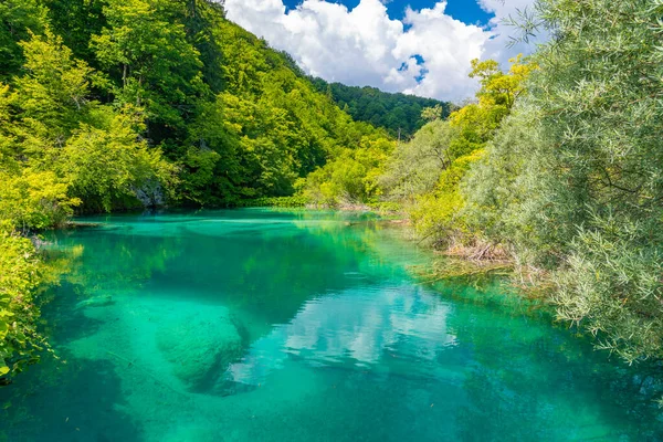 Hırvatistan 'daki Plitvice Gölleri Ulusal Parkı' ndaki yaz gökyüzü suya yansıdı