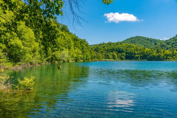 Hırvatistan 'daki Plitvice Gölleri Ulusal Parkı' ndaki yaz gökyüzü suya yansıdı