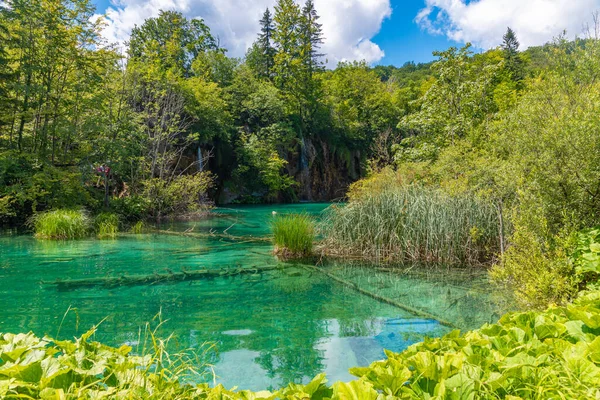 Sommarhimmel Reflekteras Över Vatten Vid Plitvicesjöarnas Nationalpark Kroatien — Stockfoto