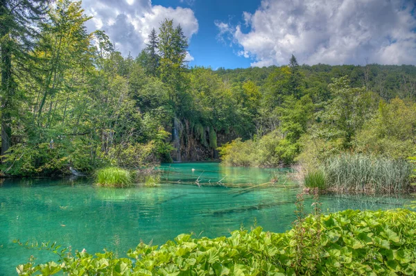 Sommarhimmel Reflekteras Över Vatten Vid Plitvicesjöarnas Nationalpark Kroatien — Stockfoto