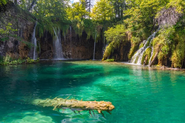 Wodospad Plitwickim Parku Narodowym Chorwacji — Zdjęcie stockowe