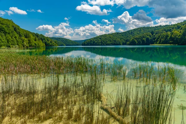 Літнє Небо Відбилося Воді Національному Парку Плітвіцькі Озера Хорватії — стокове фото