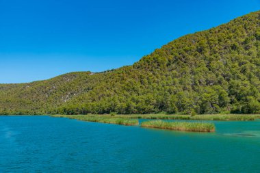 Krka Nehri Hırvatistan 'daki Krka ulusal parkından akıyor