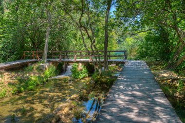 Hırvatistan 'daki Krka ulusal parkından geçen tahta kaldırım.