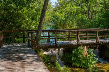 Hırvatistan 'daki Krka ulusal parkından geçen tahta kaldırım.