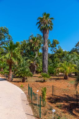 Hırvatistan 'ın Dubrovnik kenti yakınlarındaki Lokrum adasında botanik bahçesi