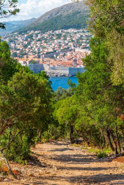 Hırvatistan 'daki Dubrovnik ve Lokrum adasının hava manzarası