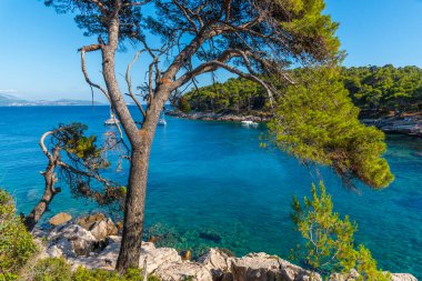 Hırvatistan 'ın Dubrovnik kenti yakınlarındaki Lokrum adasında Rocky plajı