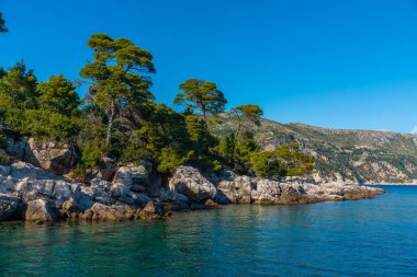 Hırvatistan 'ın Dubrovnik kenti yakınlarındaki Lokrum adasında Rocky plajı