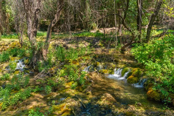 Krka Nehri Hırvatistan 'daki Krka ulusal parkından akıyor