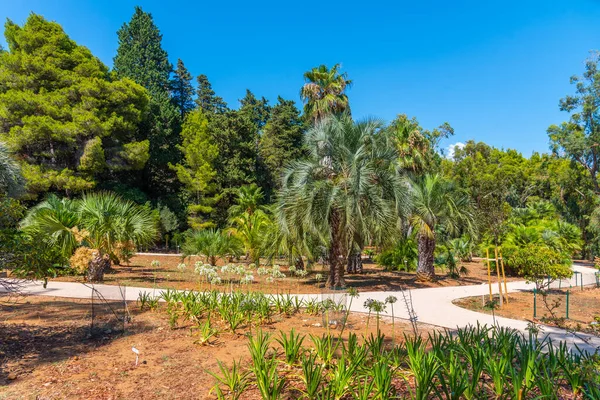 Botanisk Trädgård Lokrum Nära Dubrovnik Kroatien — Stockfoto