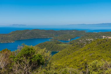 Hırvatistan 'ın Montokuc kentindeki Mljet ulusal parkının hava manzarası