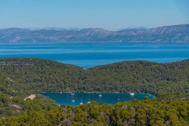 Hırvatistan 'ın Montokuc kentindeki Mljet ulusal parkının hava manzarası