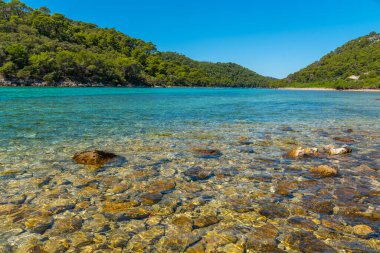 Hırvatistan 'daki Mljet ulusal parkında Veliko Jezero' nun turkuaz suyu