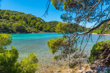 Hırvatistan 'daki Mljet ulusal parkında Veliko Jezero' nun turkuaz suyu