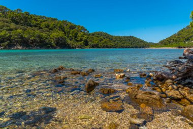 Hırvatistan 'daki Mljet ulusal parkında Veliko Jezero' nun turkuaz suyu