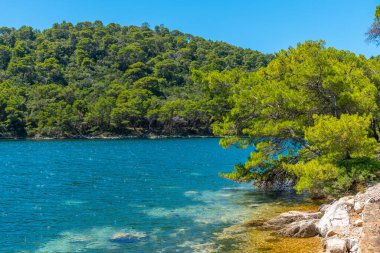 Hırvatistan 'daki Mljet ulusal parkında Veliko Jezero' nun turkuaz suyu