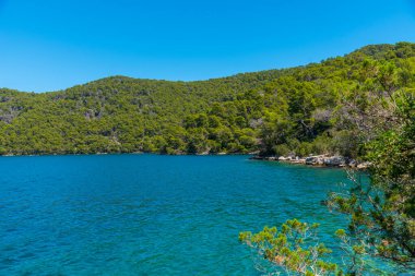 Hırvatistan 'daki Mljet ulusal parkında Veliko Jezero' nun turkuaz suyu