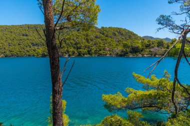 Hırvatistan 'daki Mljet ulusal parkında Veliko Jezero' nun turkuaz suyu