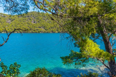 Hırvatistan 'daki Mljet ulusal parkında Veliko Jezero' nun turkuaz suyu