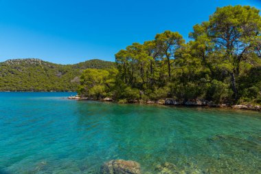 Hırvatistan 'daki Mljet ulusal parkında Veliko Jezero' nun turkuaz suyu