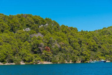 Hırvatistan 'daki Mljet ulusal parkında Veliko Jezero' nun turkuaz suyu