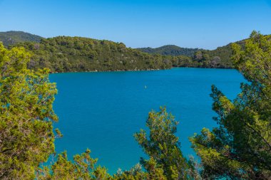Malo Jezero 'nun turkuaz suyu Hırvatistan' daki Mljet ulusal parkında