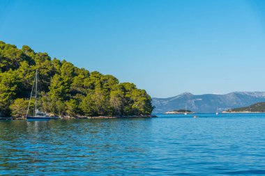 Hırvatistan 'ın Mljet milli parkındaki Pomena köyünde körfez