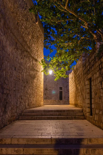 Vista Nocturna Una Calle Estrecha Centro Histórico Dubrovnik Croacia —  Fotos de Stock