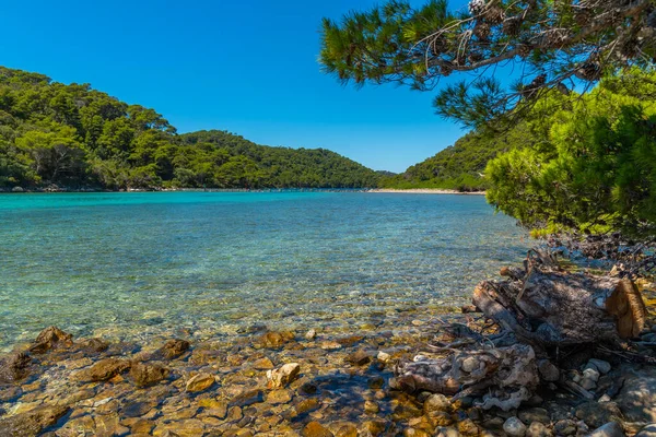 Hırvatistan 'daki Mljet ulusal parkında Veliko Jezero' nun turkuaz suyu