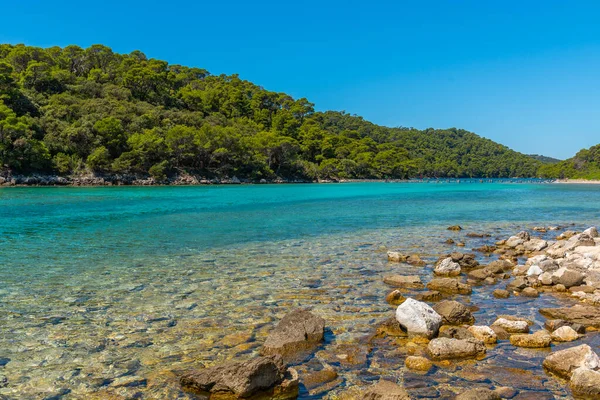 Hırvatistan 'daki Mljet ulusal parkında Veliko Jezero' nun turkuaz suyu