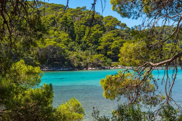 Hırvatistan 'daki Mljet ulusal parkında Veliko Jezero' nun turkuaz suyu