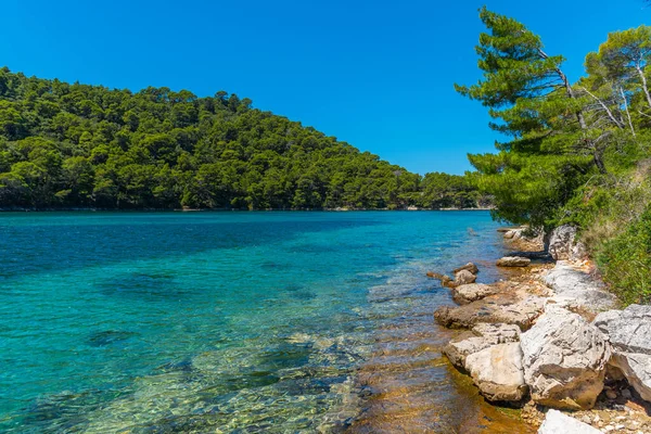 Hırvatistan 'daki Mljet ulusal parkında Veliko Jezero' nun turkuaz suyu
