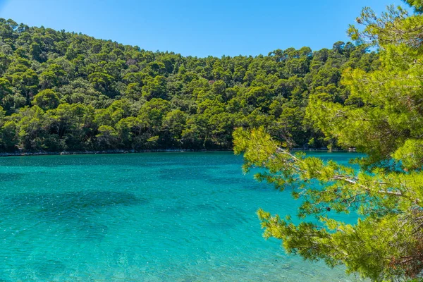 Hırvatistan 'daki Mljet ulusal parkında Veliko Jezero' nun turkuaz suyu