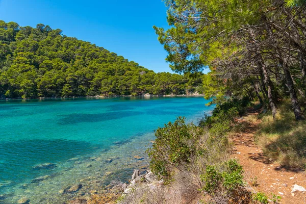 Hırvatistan 'daki Mljet ulusal parkında Veliko Jezero' nun turkuaz suyu