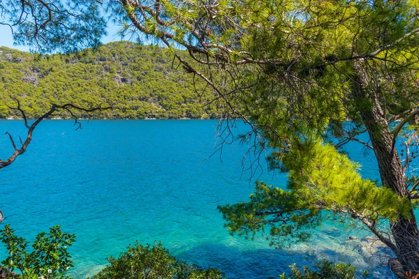 Hırvatistan 'daki Mljet ulusal parkında Veliko Jezero' nun turkuaz suyu